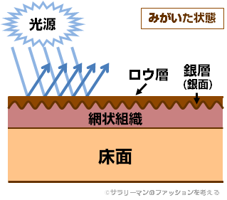靴を磨いた状況の銀面 靴を磨いた状況の銀面